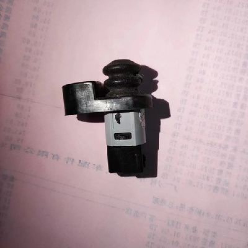 DOORLAMPSWITCH D22 PALADIN  U13 SY31 U12 A32 A33 2536041L11