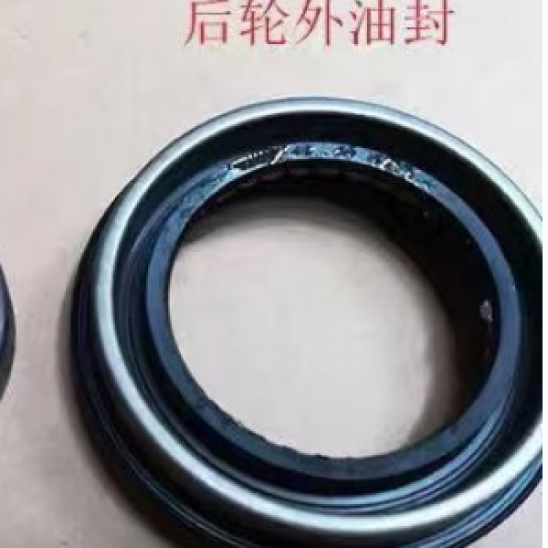 REAR WHEEL OUTER OIL SEAL  D22 4323201G00 4323201G10