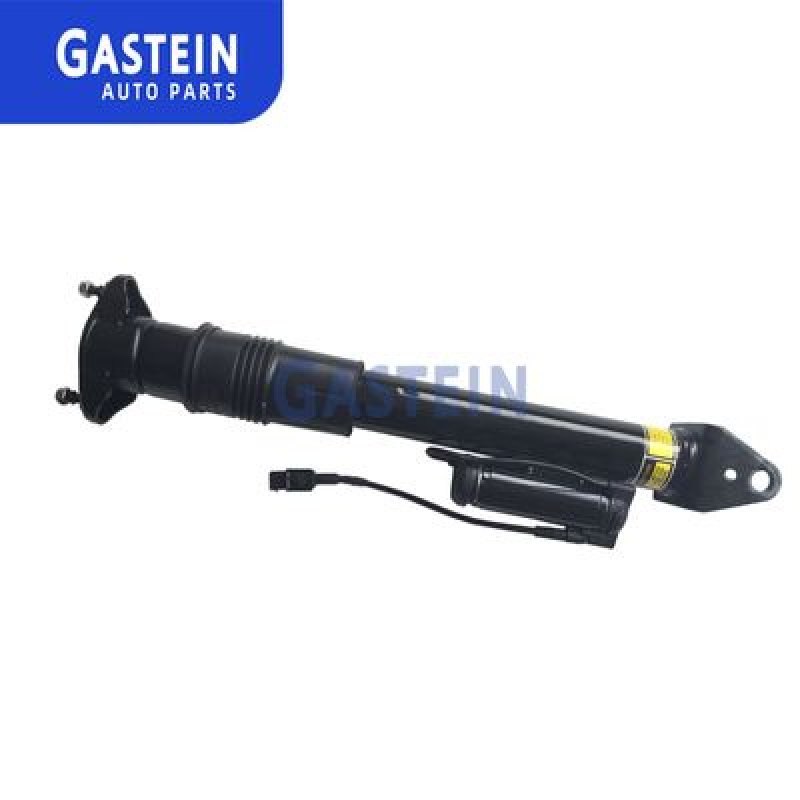 2513201931 Rear Auto Suspension Parts Shock Absorber With Ads For W251 V251