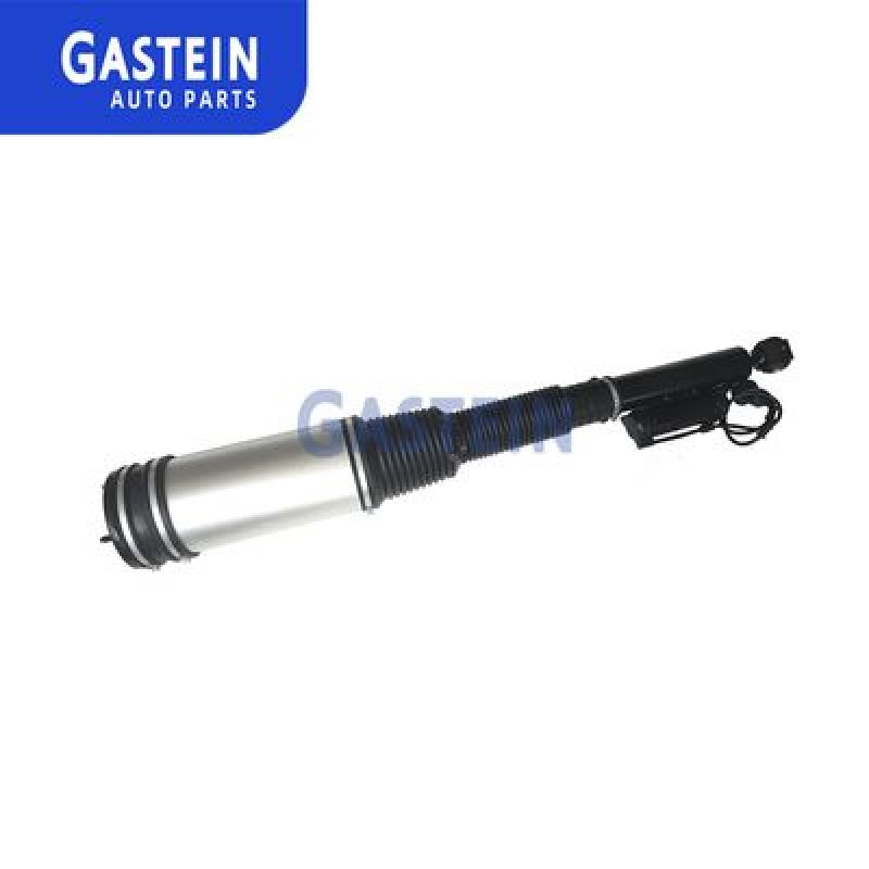 2203205013 Car Suspension Rear Air Shock Absorber Air Strut For benz W220