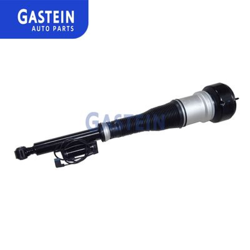 2213205513(L) 2213205613(R) Auto Shock Absorber Gas Pressure Rear Left Right For Benz S-Class W221