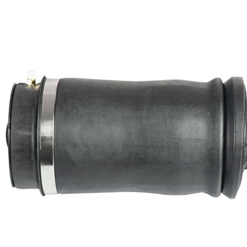 Auto Car Part Hot Air Spring Rear for W164 M-Class OEM: 1643200225, 1643200425, 1643200825, 1643200925