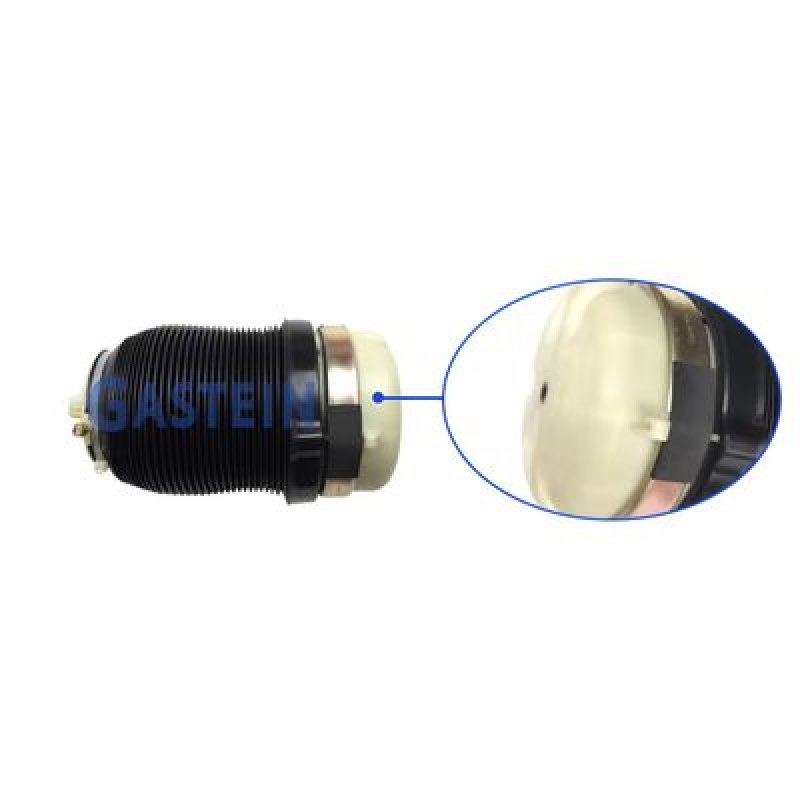 Air Spring Bellow Rear Air Suspension Ballon For A6C6 OEM:4F0616001J